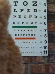 P1030081