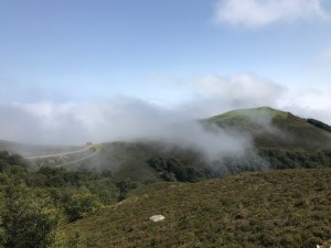 IMG_3503